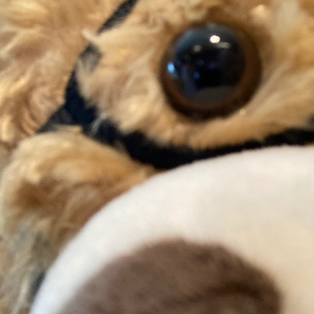 Meet your Posher, Robert